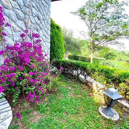 Apartment Mediterranean Garden リエカ エクステリア 写真