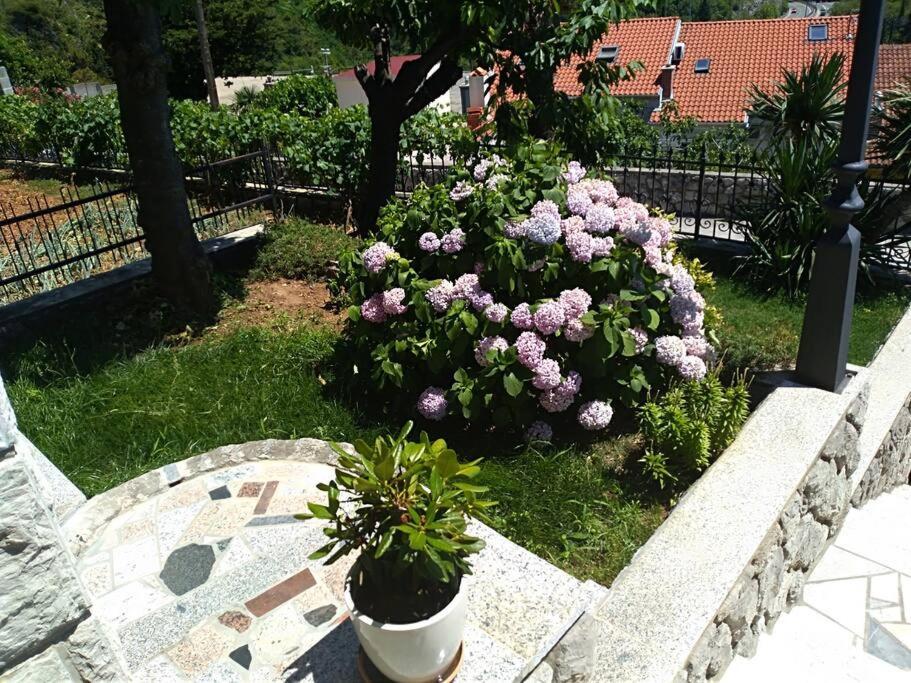 Apartment Mediterranean Garden リエカ エクステリア 写真