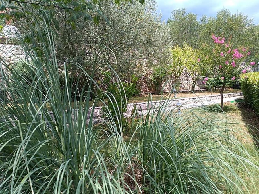 Apartment Mediterranean Garden リエカ エクステリア 写真
