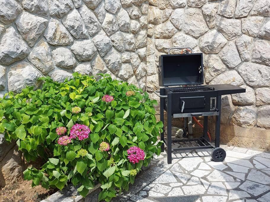Apartment Mediterranean Garden リエカ エクステリア 写真