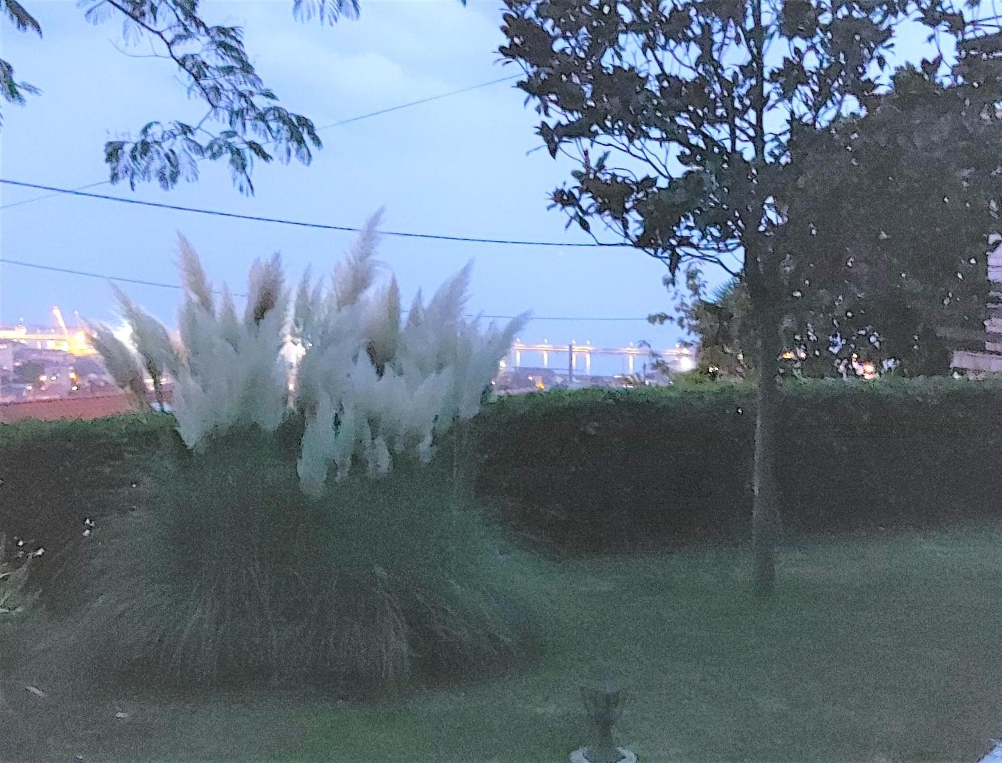 Apartment Mediterranean Garden リエカ エクステリア 写真