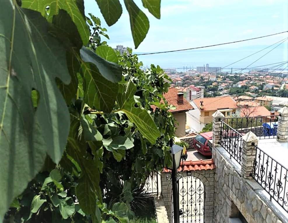 Apartment Mediterranean Garden リエカ エクステリア 写真
