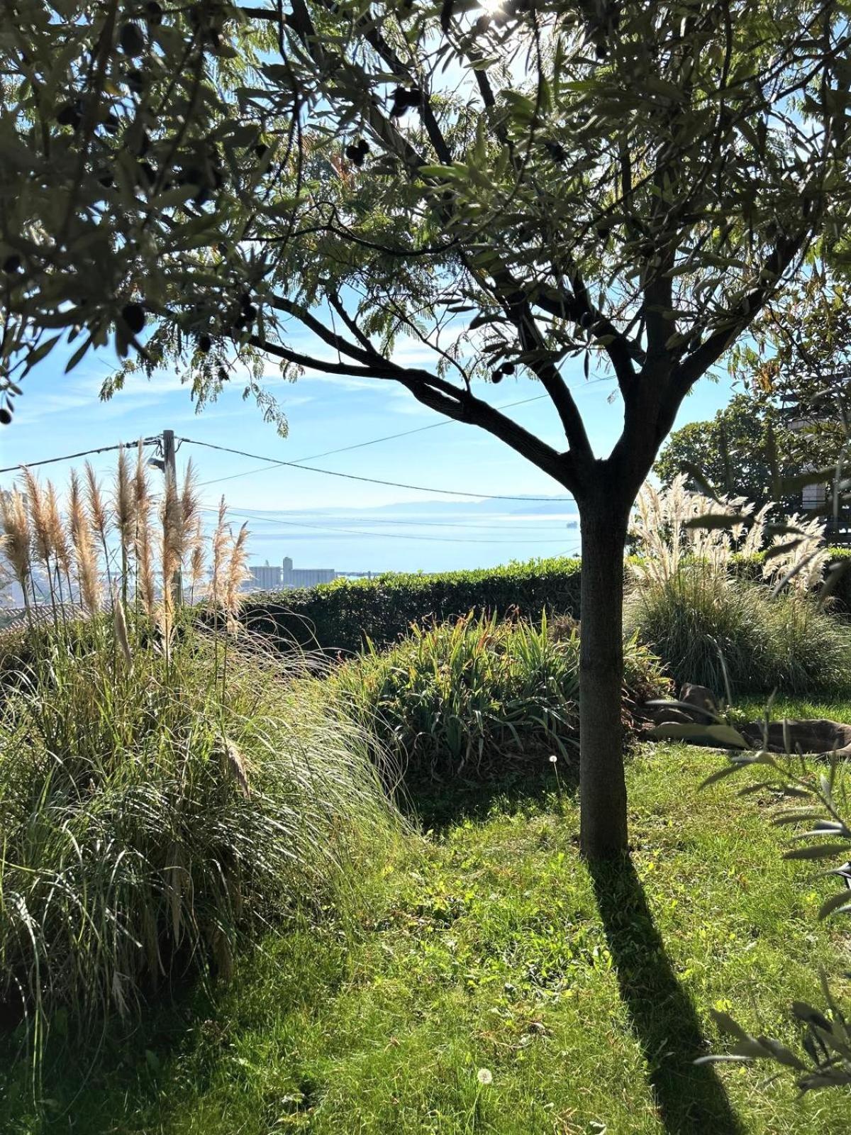 Apartment Mediterranean Garden リエカ エクステリア 写真