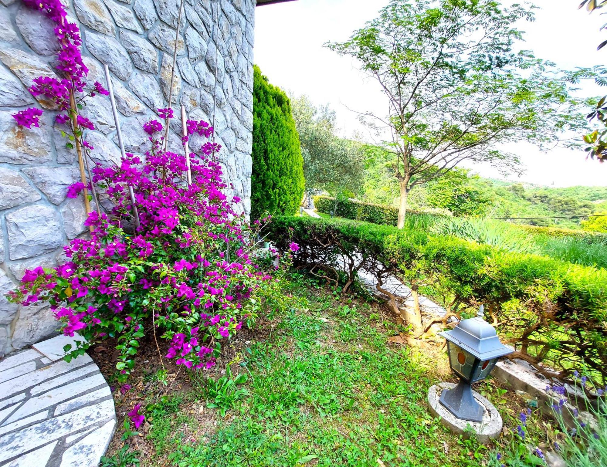 Apartment Mediterranean Garden リエカ エクステリア 写真